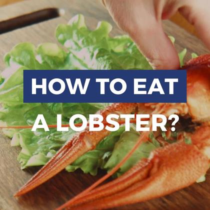 National Lobster Day